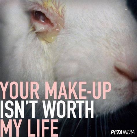 dior animal testing